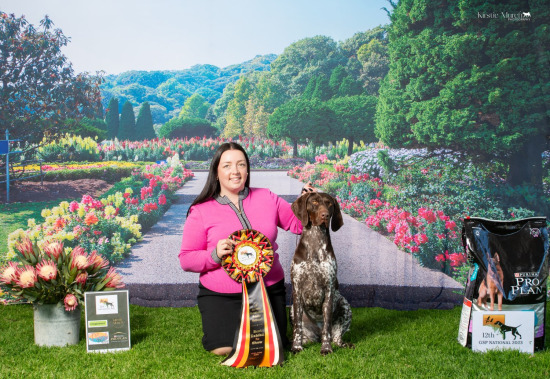 2023 GERMAN SHORTHAIRED POINTER NATIONALS