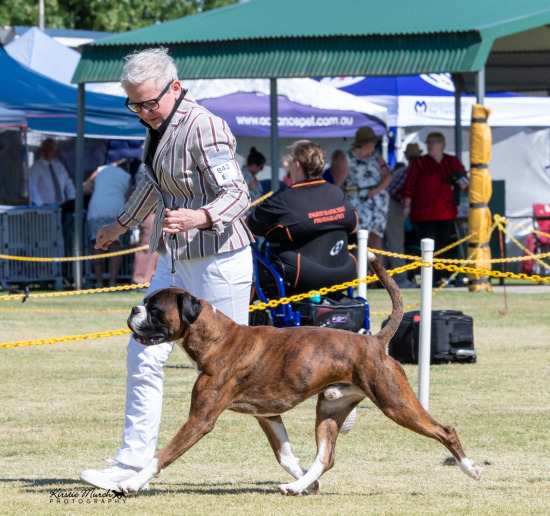 2023 SUNBURY CANINE CLUB SHOW