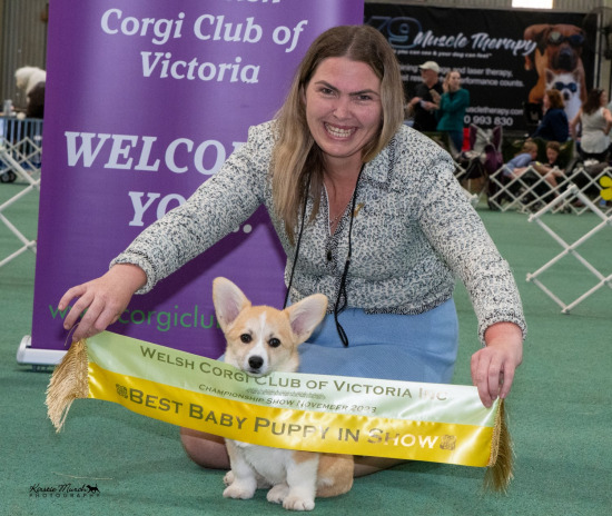 2023 CORGI CLUB OF VICTORIA CHAMP SHOW