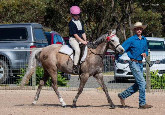 2023 ADELAIDE PLAINS HACK SHOW