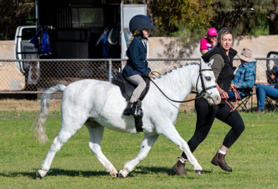 2023 SYP AG SHOW