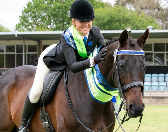 2023 SABA NORTHERN HACK & HALTER SHOW